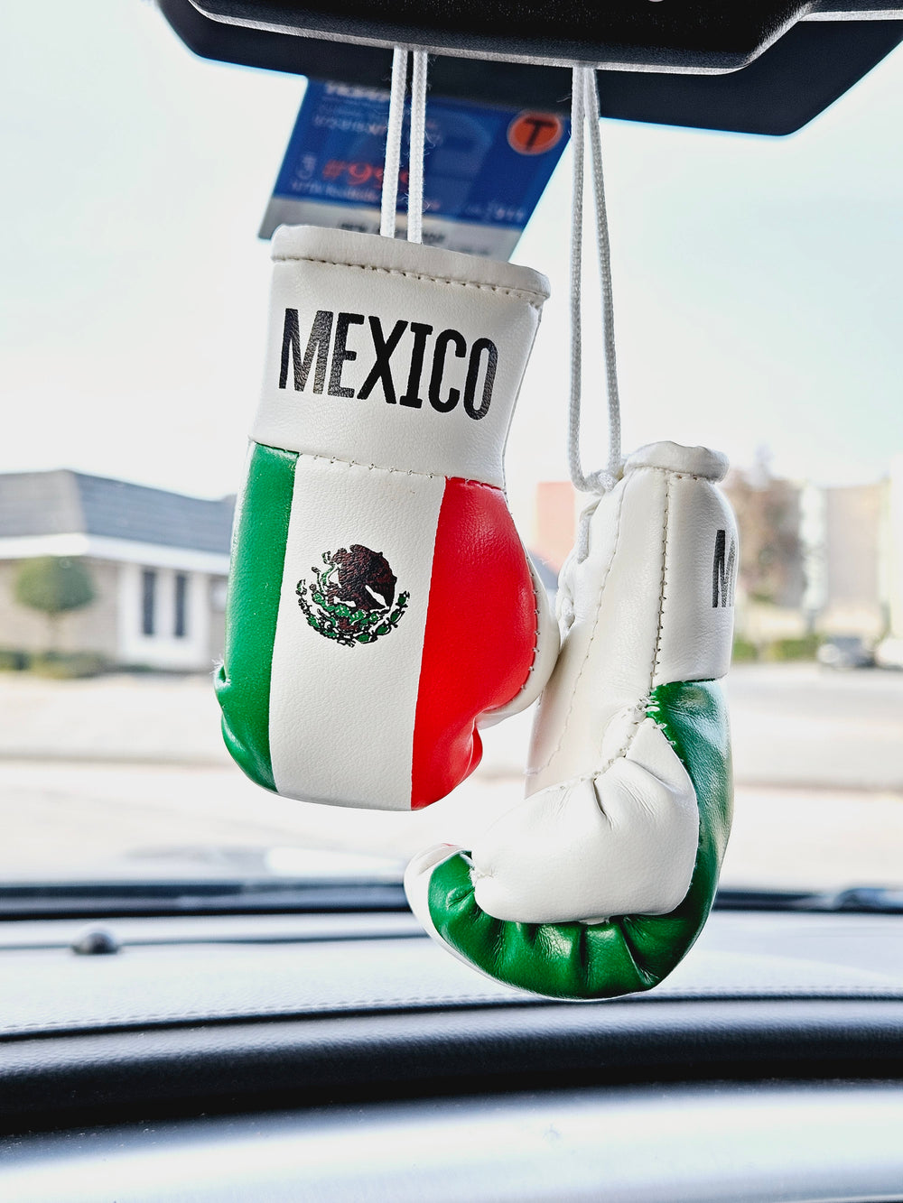 Mexico Flag Mini Boxing Gloves For Hanging - Habibi Heritage
