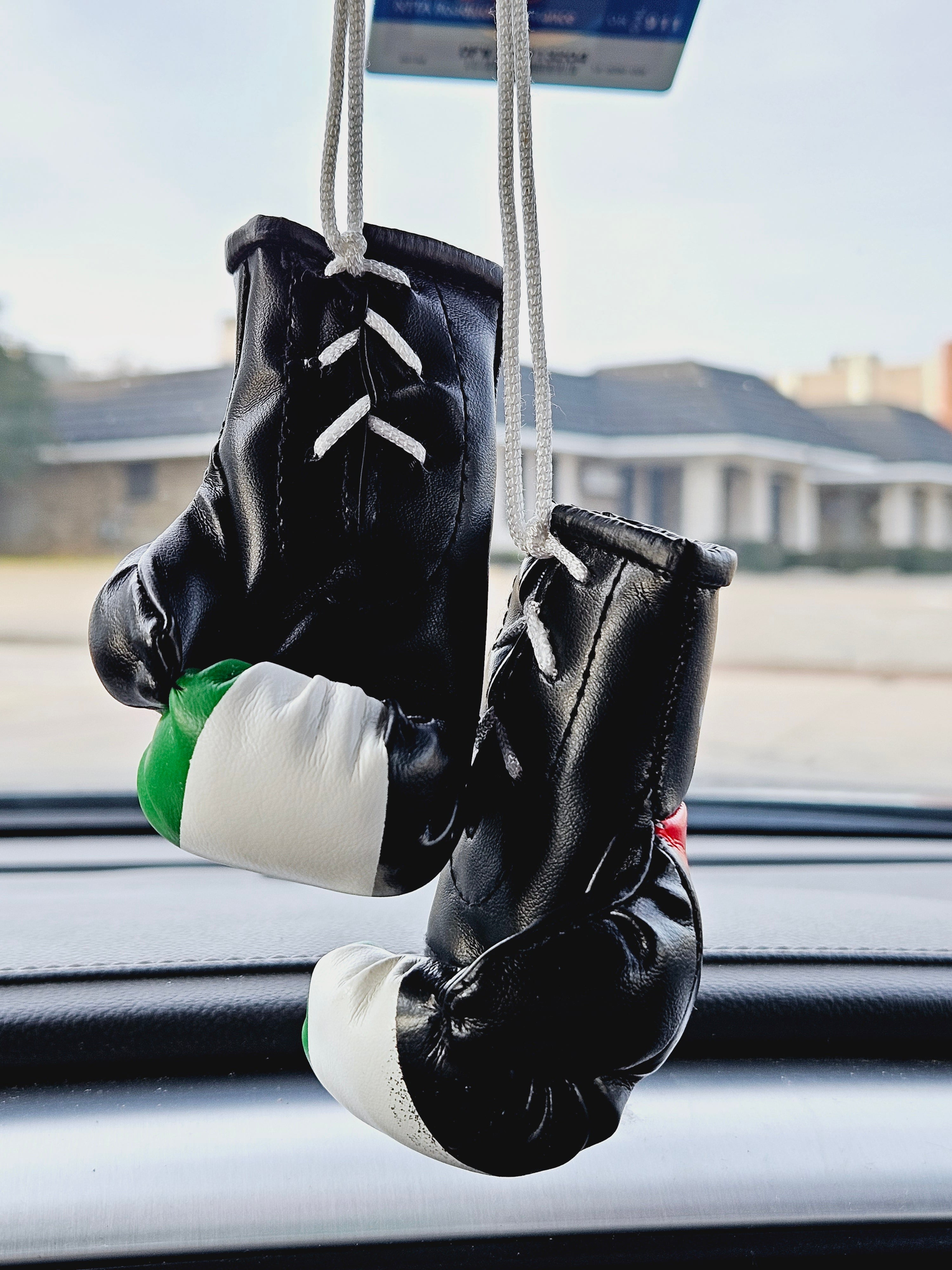 Jordan Flag Mini Boxing Gloves For Hanging - Habibi Heritage