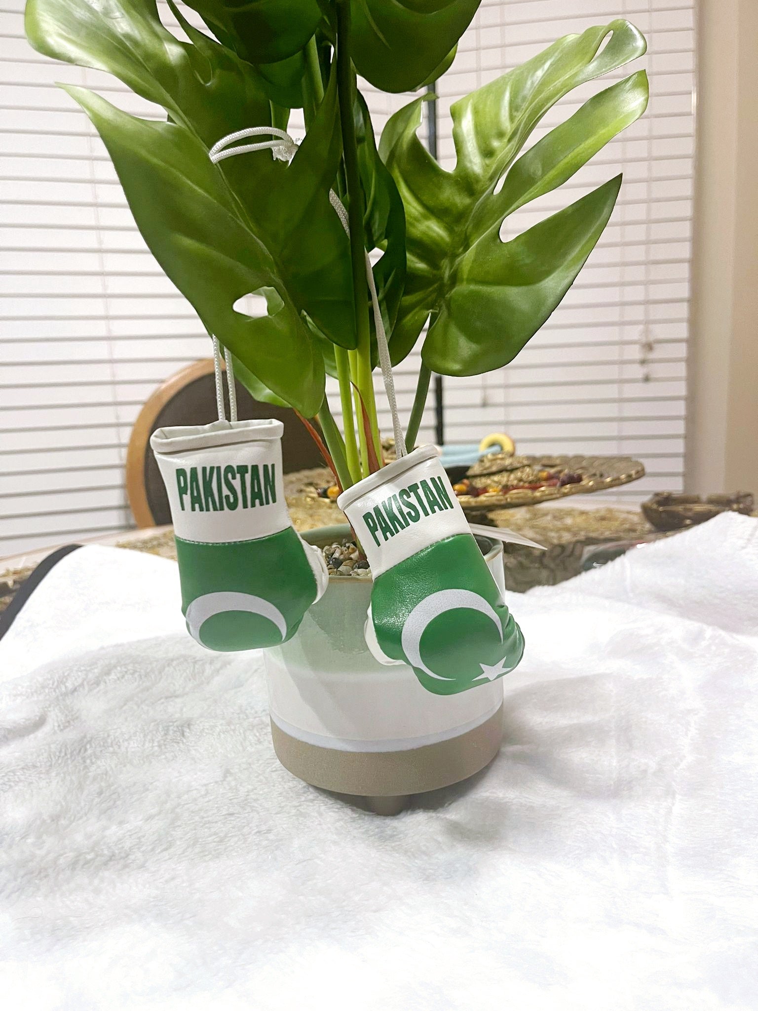 PAKISTAN Mini Boxing Gloves For Hanging - Habibi Heritage